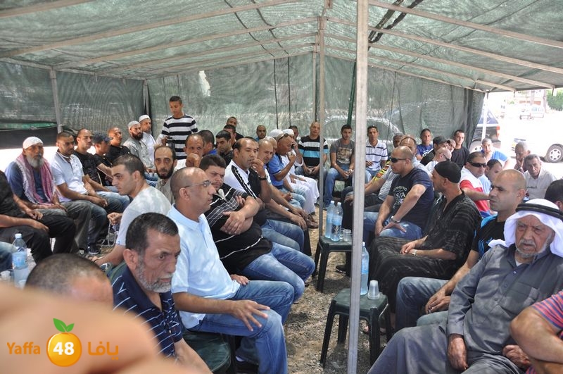 sol7desoqylud615 (85).JPG